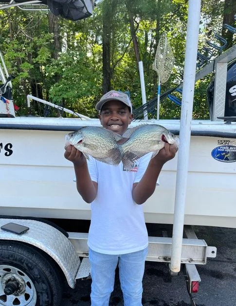 Crappie fishing report on Clarks Hill Lake