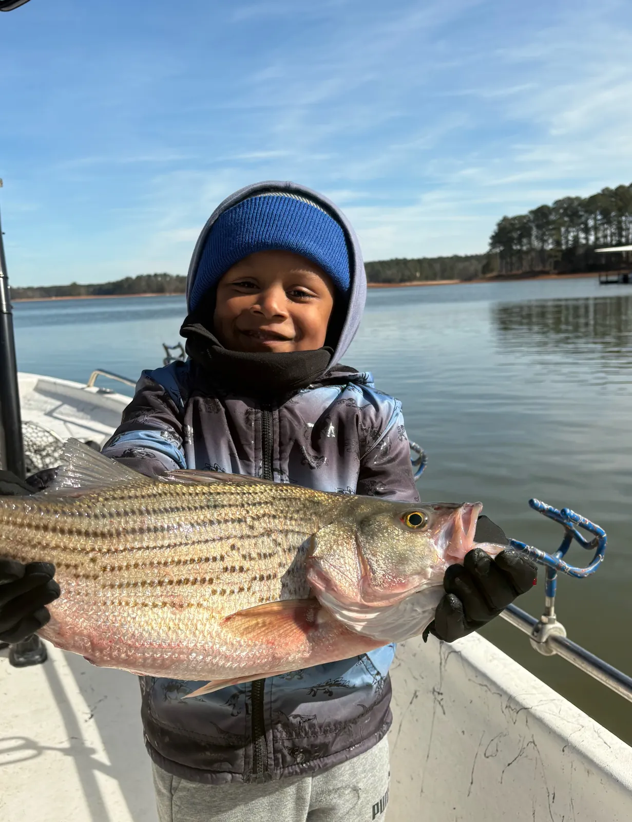 Wiper (Hybrid striped bass) fish caught fishing in Thomson