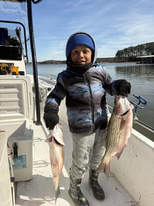 Double catch success at Clarks Hill Lake!