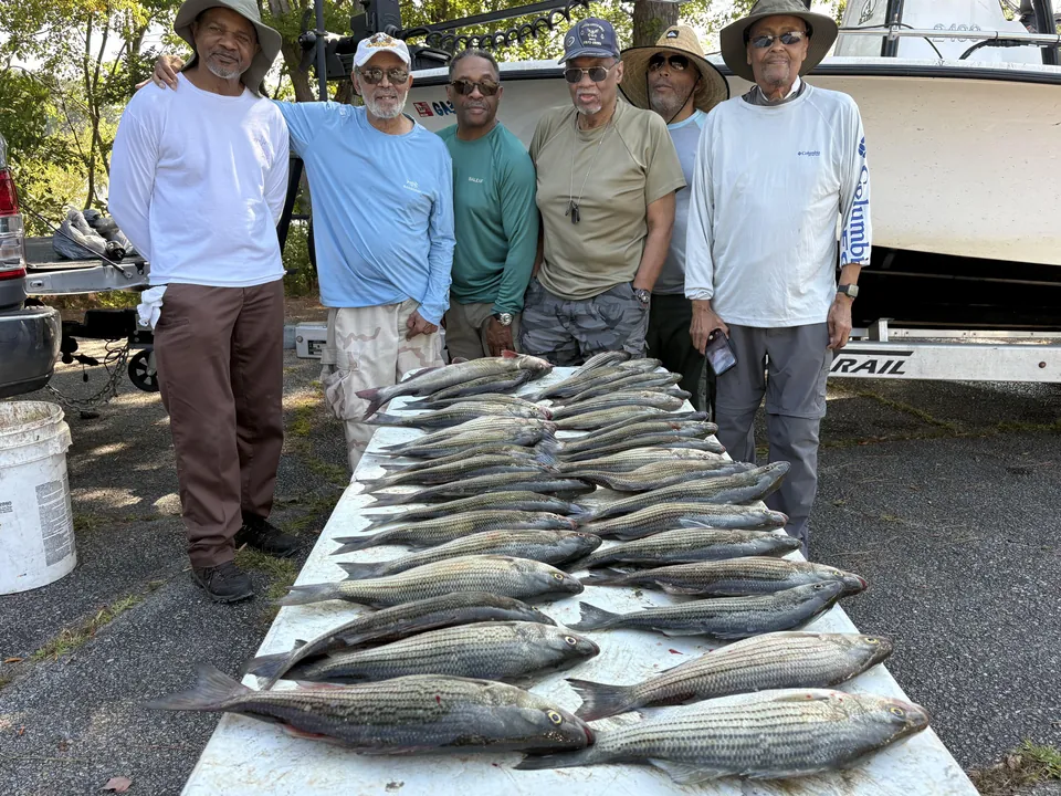 Striper Fishing Charters Clarks Hill Lake