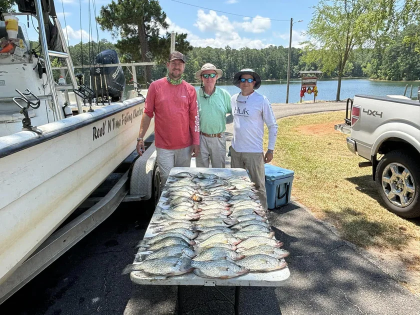 Clarks Hill Fishing fishing report on Clarks Hill Lake