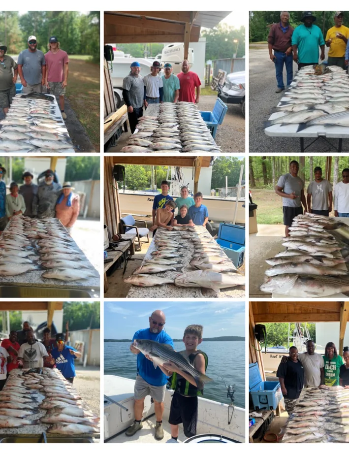 Clarks Hill Fishing fishing report on Clarks Hill Lake