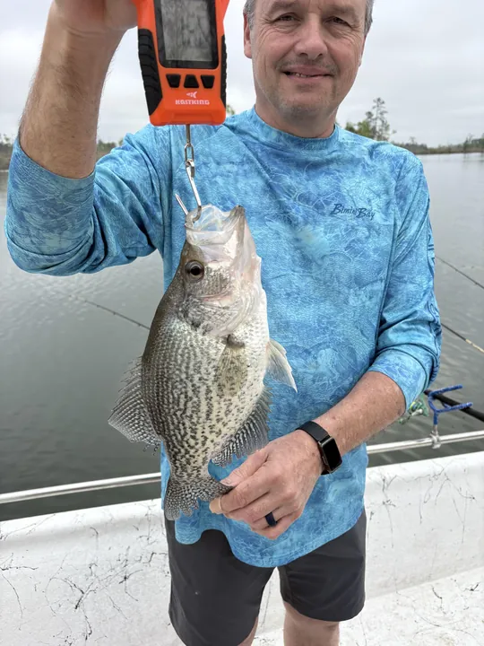 Crappie fishing report on Clarks Hill Lake
