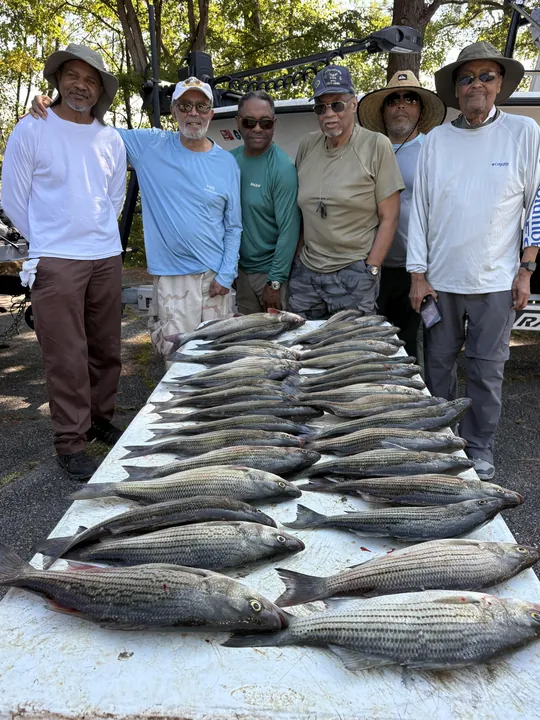 Great Day Of Striper Fishing On Clarks Hill Lake