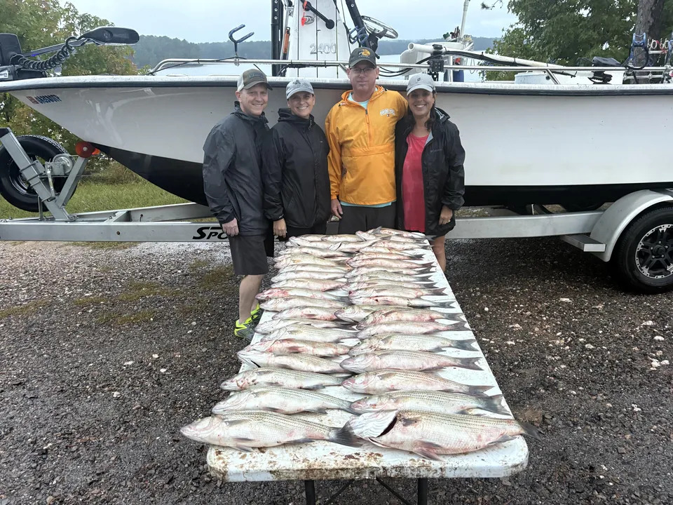 Big haul on the table.