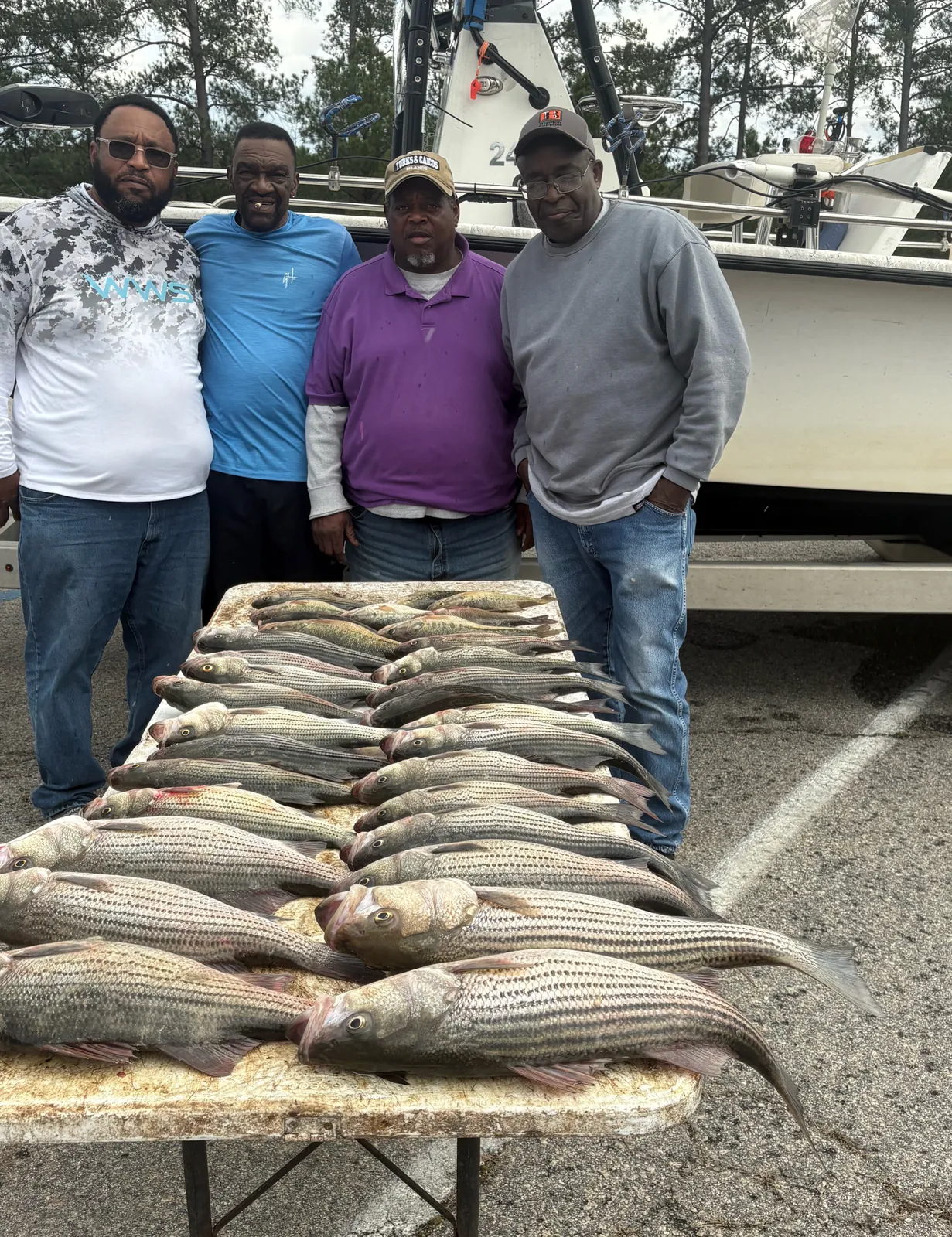 Two striped bass caught by group of four anglers in Thomson