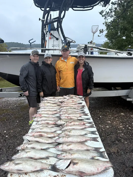 Striped Bass Fishing In Georgia