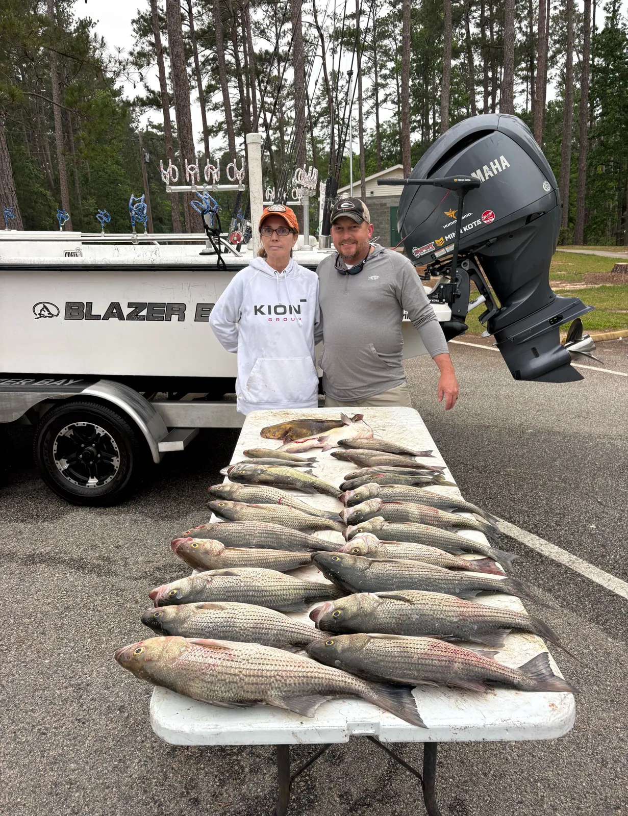 Two striped bass caught in Thomson